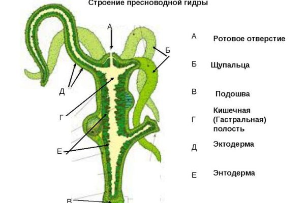 Кракен как зайти